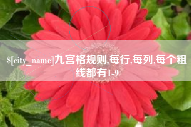 湘阴九宫格规则,每行,每列,每个粗线都有1-9