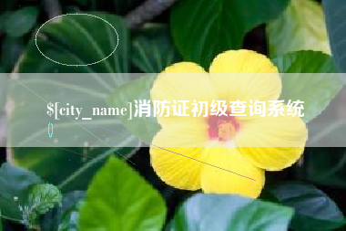 湘阴消防证初级查询系统