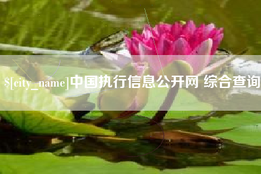湘阴中国执行信息公开网 综合查询