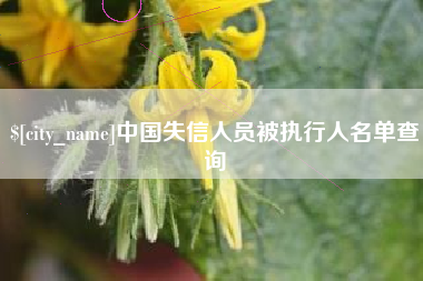湘阴中国失信人员被执行人名单查询