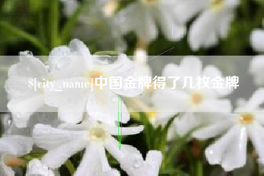 湘阴中国金牌得了几枚金牌