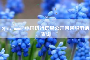 湘阴中国执行信息公开网客服电话查询