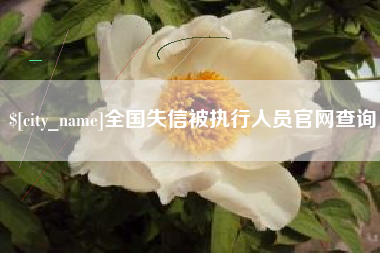 湘阴全国失信被执行人员官网查询