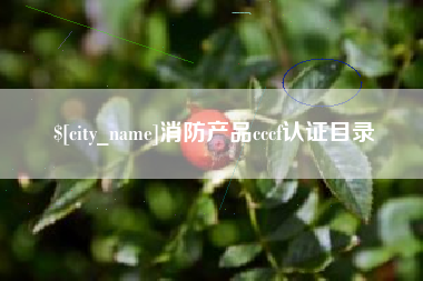 湘阴消防产品cccf认证目录