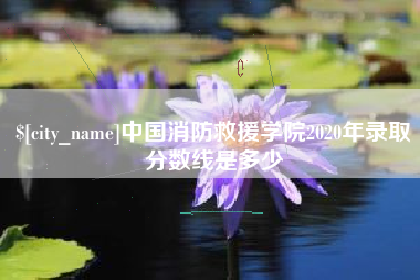 湘阴中国消防救援学院2020年录取分数线是多少
