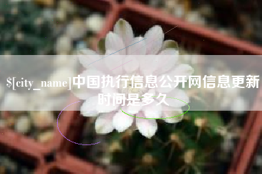 湘阴中国执行信息公开网信息更新时间是多久