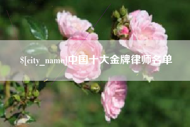 湘阴中国十大金牌律师名单
