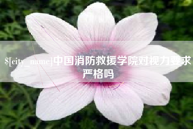 湘阴中国消防救援学院对视力要求严格吗