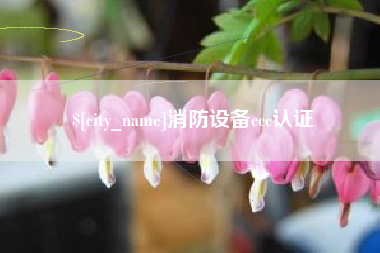 湘阴消防设备ccc认证