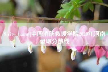 湘阴中国消防救援学院2020年河南录取分数线