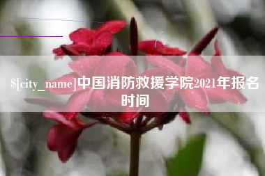 湘阴中国消防救援学院2021年报名时间