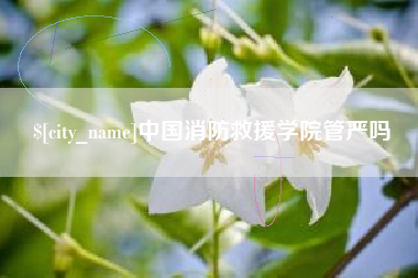 湘阴中国消防救援学院管严吗