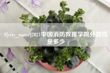 湘阴2021中国消防救援学院分数线是多少