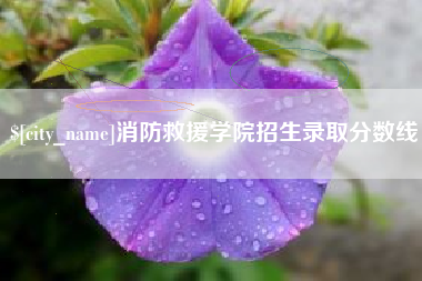 湘阴消防救援学院招生录取分数线