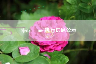湘阴执行信息公示