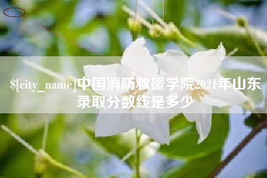 湘阴中国消防救援学院2021年山东录取分数线是多少