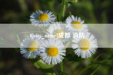 湘阴成都 消防