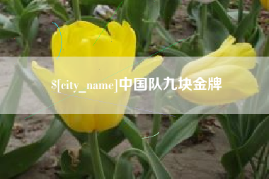 湘阴中国队九块金牌
