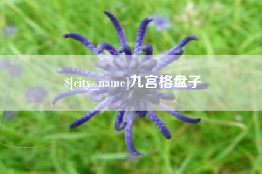 湘阴九宫格盘子