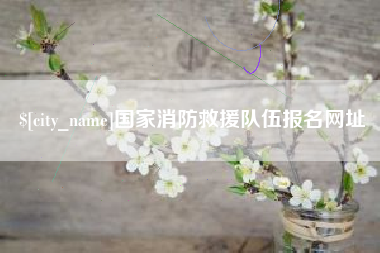 湘阴国家消防救援队伍报名网址