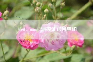 湘阴消控证官网查询