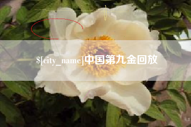 湘阴中国第九金回放