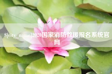 湘阴2020国家消防救援报名系统官网