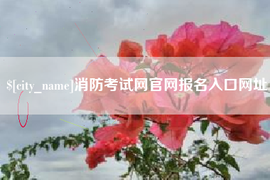 湘阴消防考试网官网报名入口网址