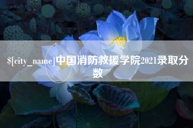 湘阴中国消防救援学院2021录取分数
