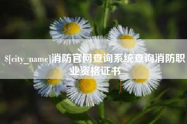 湘阴消防官网查询系统查询消防职业资格证书