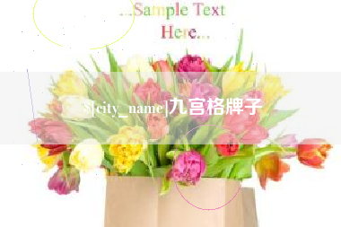 湘阴九宫格牌子