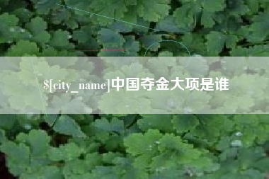 湘阴中国夺金大项是谁