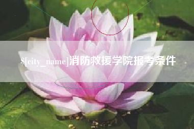 湘阴消防救援学院报考条件