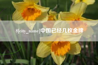湘阴中国已经几枚金牌