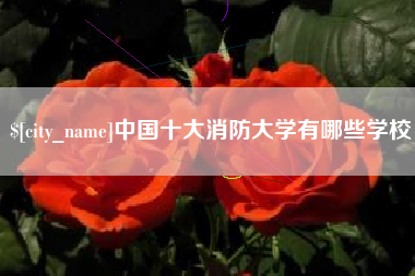 湘阴中国十大消防大学有哪些学校