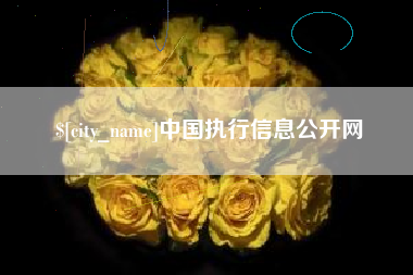 湘阴中国执行信息公开网