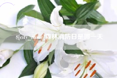 湘阴森林消防日是哪一天