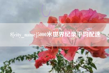 湘阴5000米世界纪录平均配速