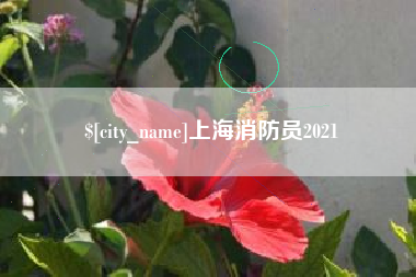 湘阴上海消防员2021