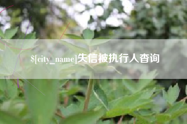 湘阴失信被执行人杳询