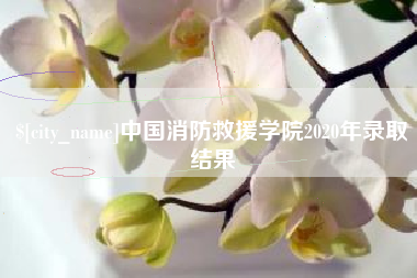 湘阴中国消防救援学院2020年录取结果