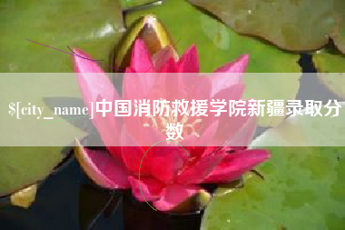 湘阴中国消防救援学院新疆录取分数
