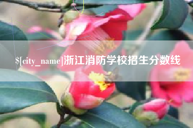 湘阴浙江消防学校招生分数线