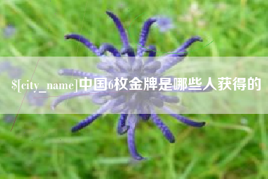 湘阴中国6枚金牌是哪些人获得的
