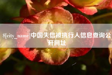 湘阴中国失信被执行人信息查询公开网址