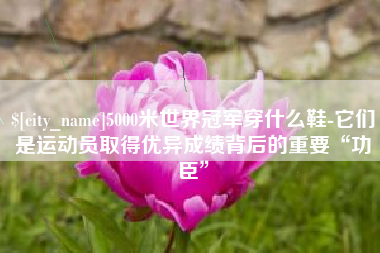 湘阴5000米世界冠军穿什么鞋-它们是运动员取得优异成绩背后的重要“功臣”