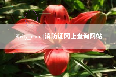 湘阴消防证网上查询网站