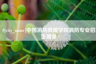 湘阴中国消防救援学院消防专业招生简章