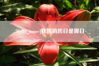 湘阴我国消防日是哪日