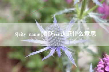 湘阴消防ccc认证什么意思